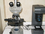 顕微鏡2.jpg